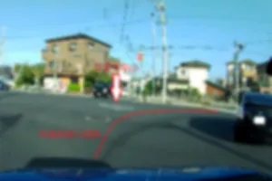 黒の旧プリウス。少々車間が狭いと急ブレーキを踏んで、窓を開け威嚇してくる。物を捨てる。右折時、思い切りショートカット（小さく回る）。