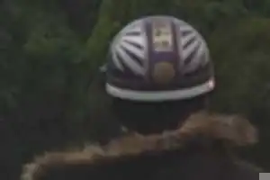 この馬鹿を見かけたら110番通報よろしくお願いしますm(_ _)m
危険運転及び不正改造の常習犯なので！
先程も遭遇しましたけど、遊歩道を平然とバイクで走行し、その後、帝京安積前の信号機が赤信号にも関わらず信号無視、その後前方の車列に割り込み、蛇行運転！ナンバープレートを折り曲げ走行！
バイクが50cc原付バイク、色が黒、左右にLEDネオンをはめ込んでます。運転手の特徴が10代後半から20代前半男！ヘルメットに大和魂と書いてある！