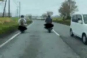 50Km/h制限の道路を、ミラー越しにこちらを確認しながら30Km/h以下で走行。急に中央車線に移動したり、原付と並走したりと……
ちなみに原付は仲間ではなかったです。