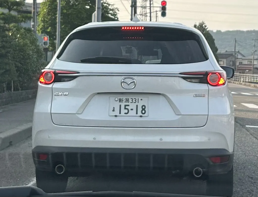 もうスピードでの煽り運転
おばさんでした。