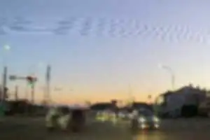 ライフ ディーバ
信号無視